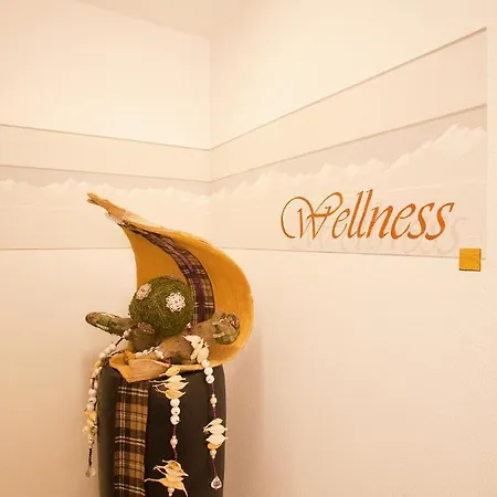 Viktoria Pensionat 3*